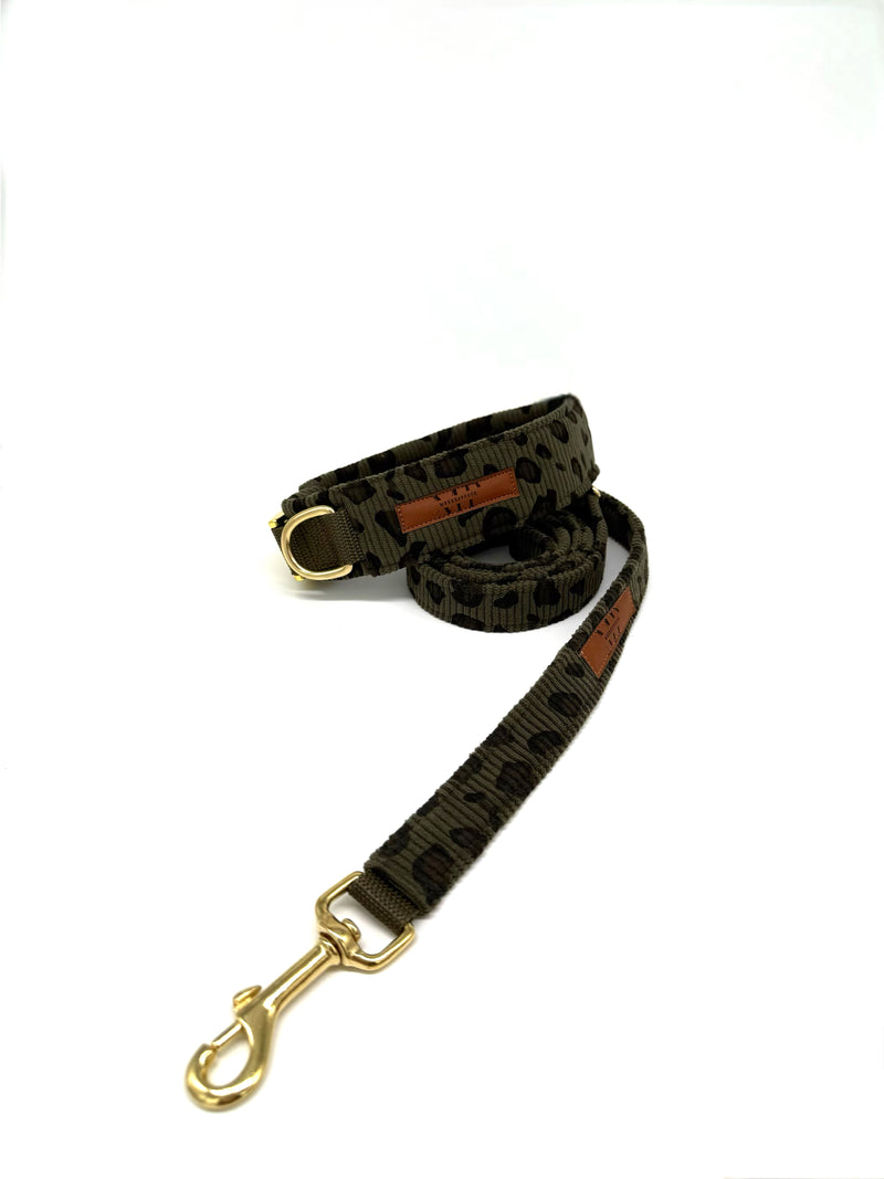 Cord- „Leo OlivXOliv“