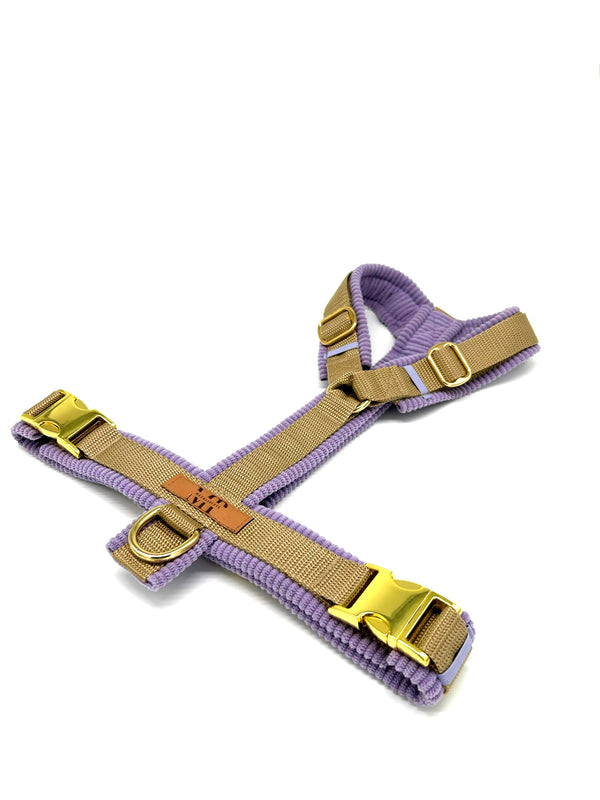 Geschirr Cord „FliederXSandgold“