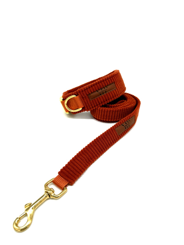 Cord - „TerraXocker“