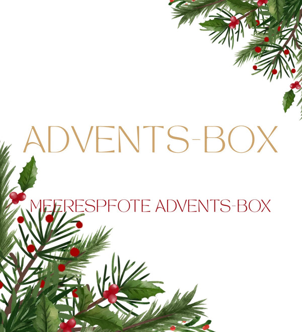 Meerespfote Adventsbox