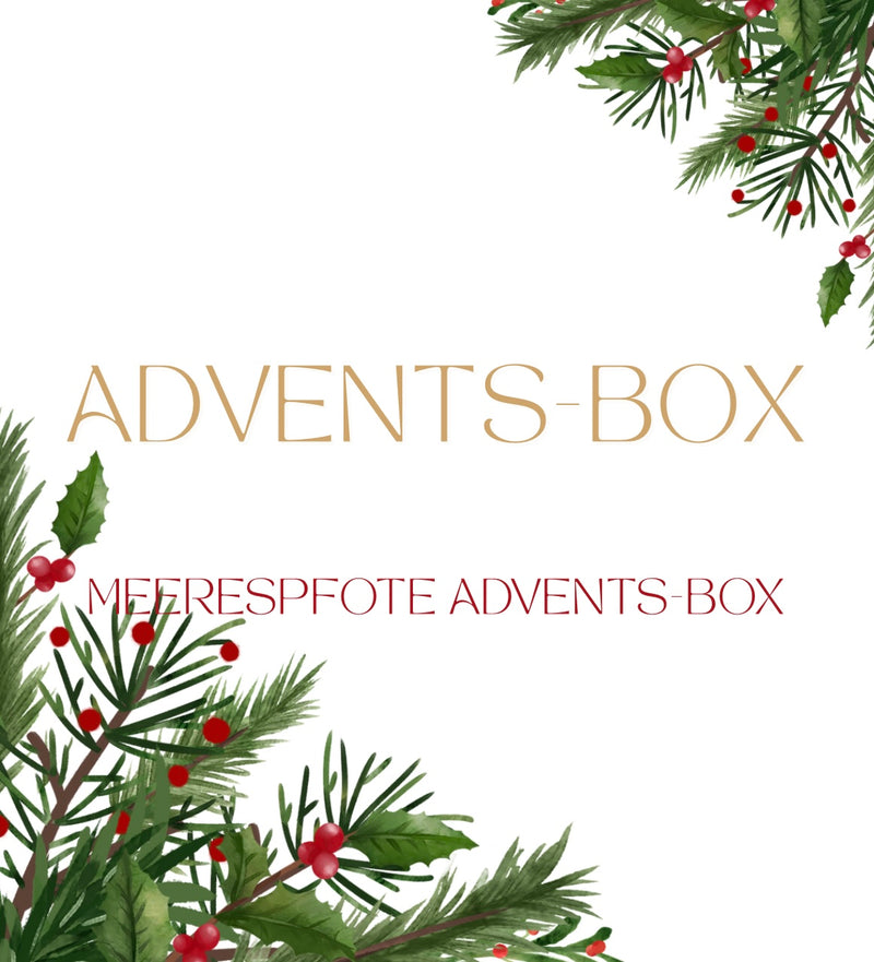 Meerespfote Adventsbox