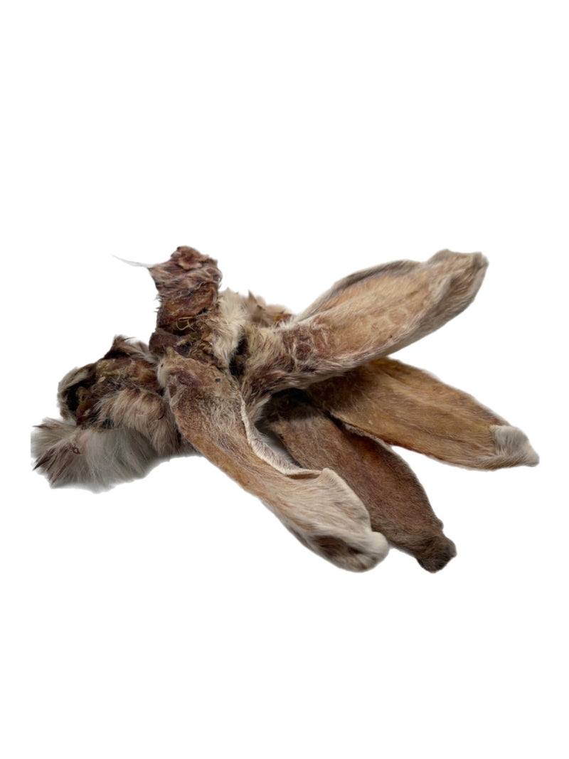 Kaninchen-Ohren mit Fell
