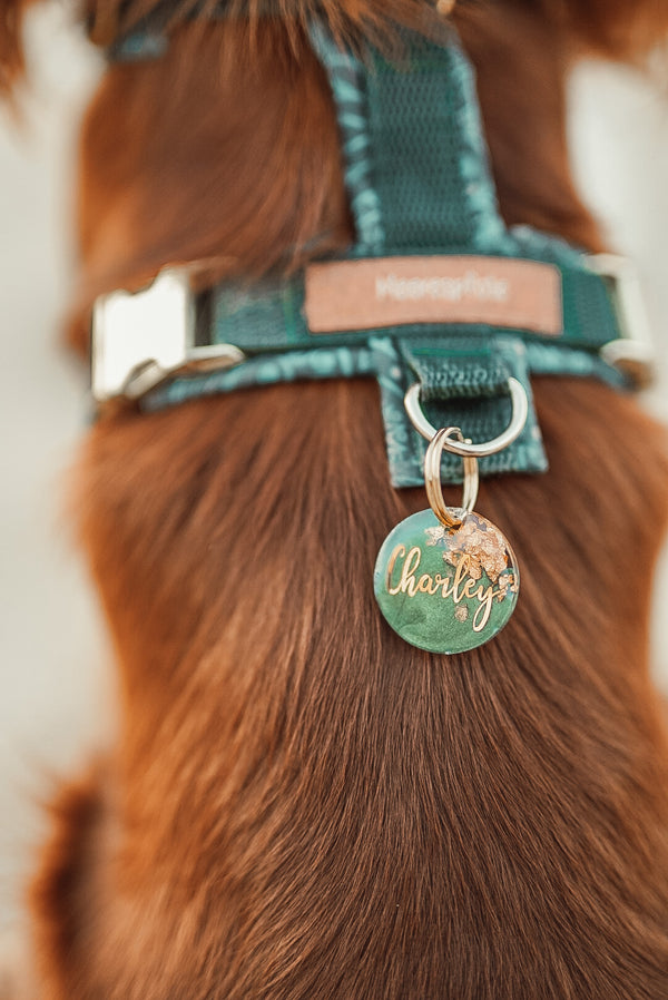 Hundemarke "Design your own"